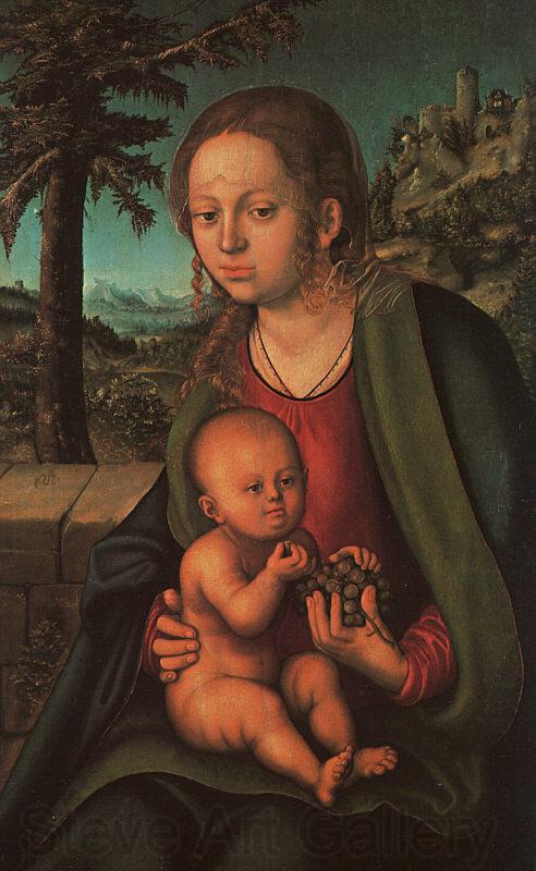 Lucas  Cranach The Madonna with the Bunch of Grapes Norge oil painting art